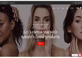 website design